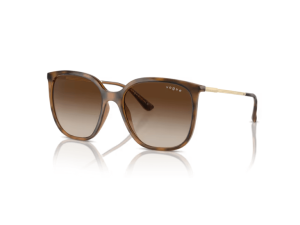 Gafas de sol Vogue 5564