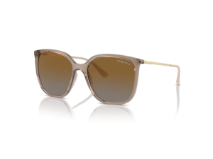 Gafas de sol Vogue 5564