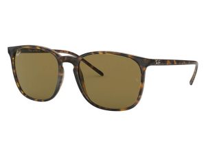 Ray-Ban RB 4387 710/73