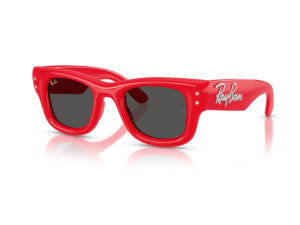 Gafas de sol Wayfarer Puffer