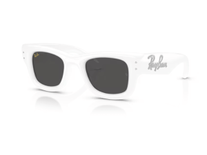 Gafas de sol Wayfarer Puffer