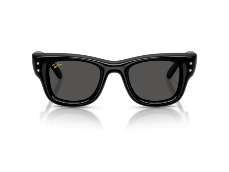 Gafas de sol Wayfarer Puffer