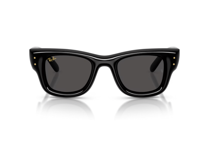 Gafas de sol Wayfarer Puffer