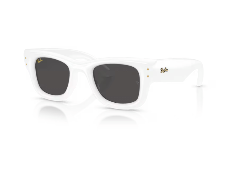 Gafas de sol Wayfarer Puffer
