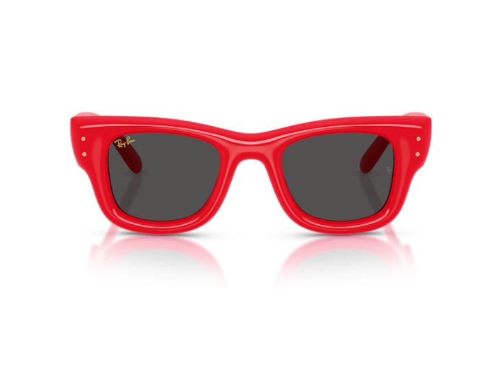 Gafas de sol Wayfarer Puffer