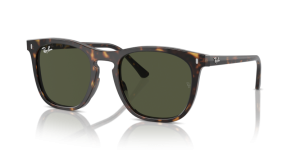 Ray-Ban RB2210 902/31