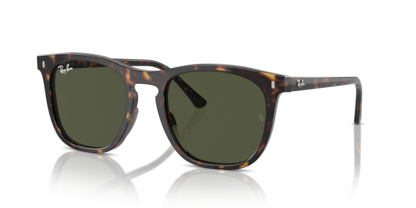 Ray-Ban RB2210 902/31
