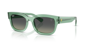 Ray-Ban RB2228M F70911
