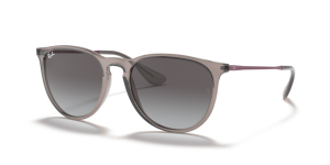 Ray-Ban ERIKA RB4171 65138G