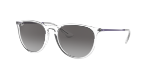 Ray-Ban ERIKA RB4171 651611