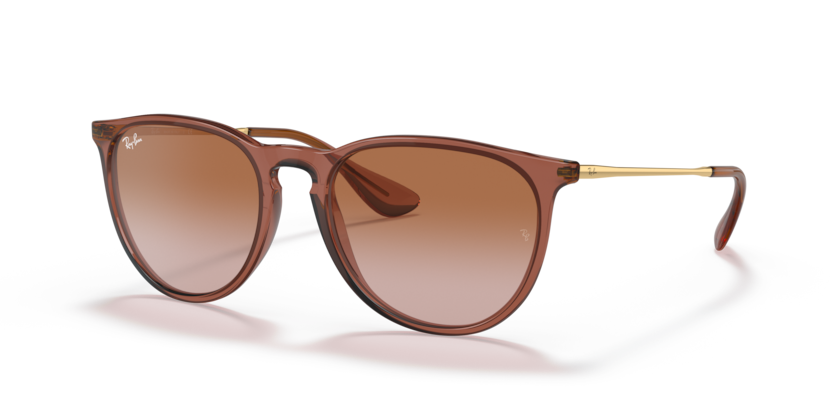 Ray-Ban ERIKA RB4171 659013