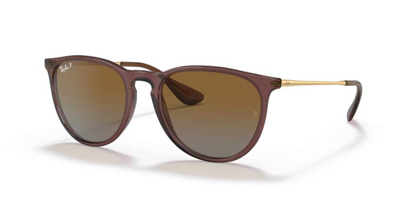 Ray-Ban ERIKA RB4171 6593T5