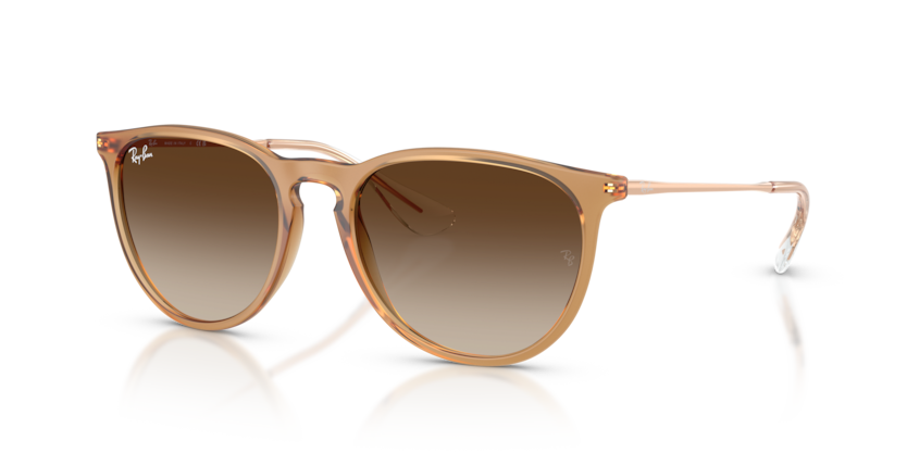 Ray-Ban ERIKA RB4171 681413