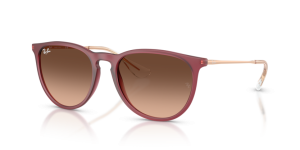 Ray-Ban ERIKA RB4171 6815A5