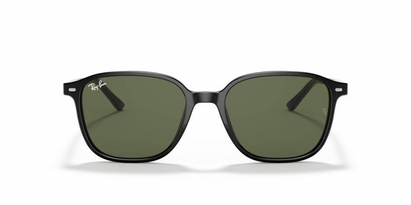 Ray-Ban LEONARD RB2193 901/31 - Imagen 2