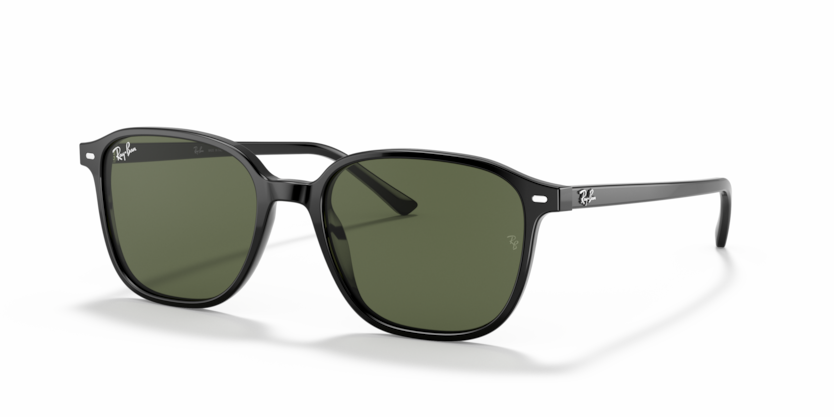 Ray-Ban LEONARD RB2193 901/31