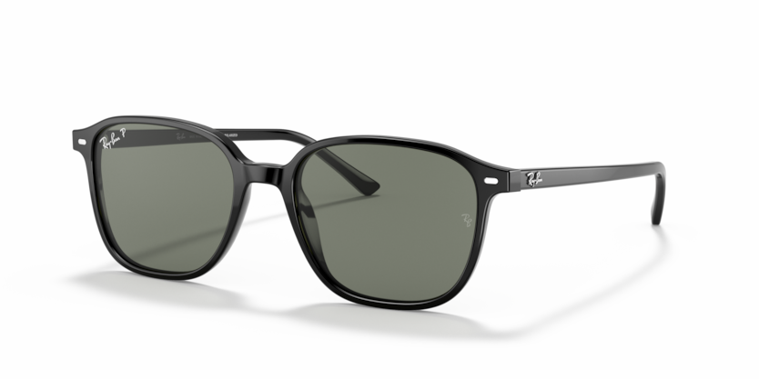 Ray-Ban LEONARD RB2193 901/58