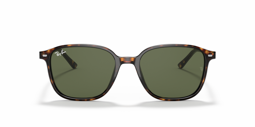 Ray-Ban LEONARD RB2193 902/31 - Imagen 2