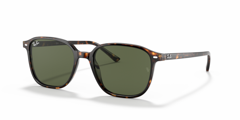 Ray-Ban LEONARD RB2193 902/31