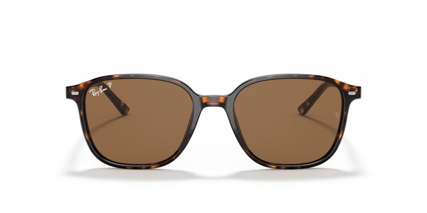 Ray-Ban LEONARD RB2193 902/57 - Imagen 2
