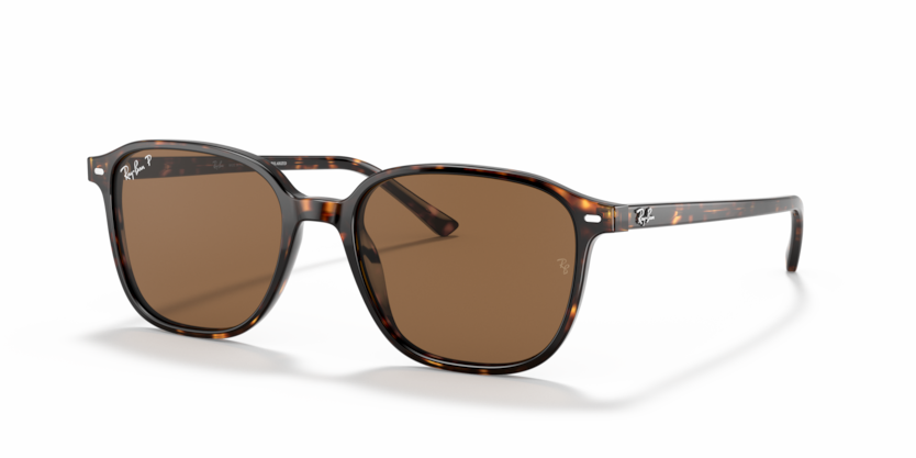Ray-Ban LEONARD RB2193 902/57