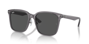 Ray-Ban RB2206D 139987