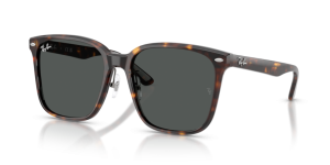 Ray-Ban RB2206D 710/87