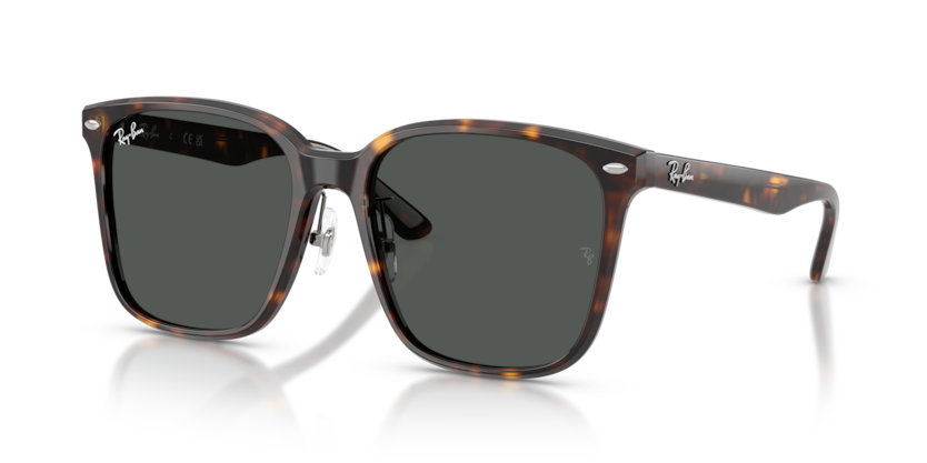 Ray-Ban RB2206D 710/87