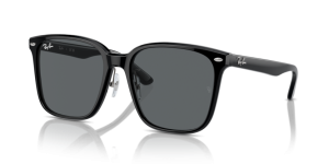 Ray-Ban RB2206D 901/87