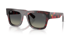 Ray-Ban RB2217M F70511