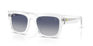 Ray-Ban RB2217M F7064L