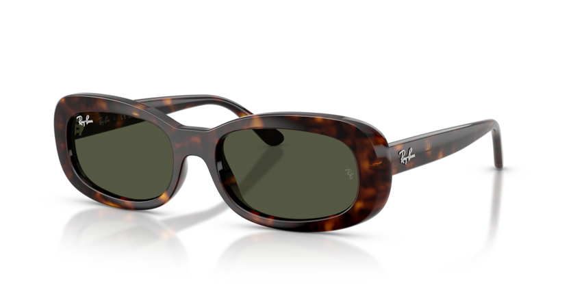 Ray-Ban RB2221 902/31