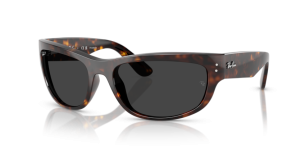 Ray-Ban MEGA BALORAMA RB2289 902/48