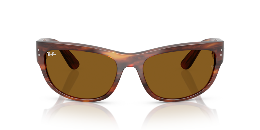 Ray-Ban MEGA BALORAMA RB2289 954/33 - Imagen 2