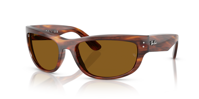 Ray-Ban MEGA BALORAMA RB2289 954/33