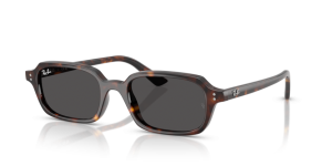 Ray-Ban ZURI RB4455 135987
