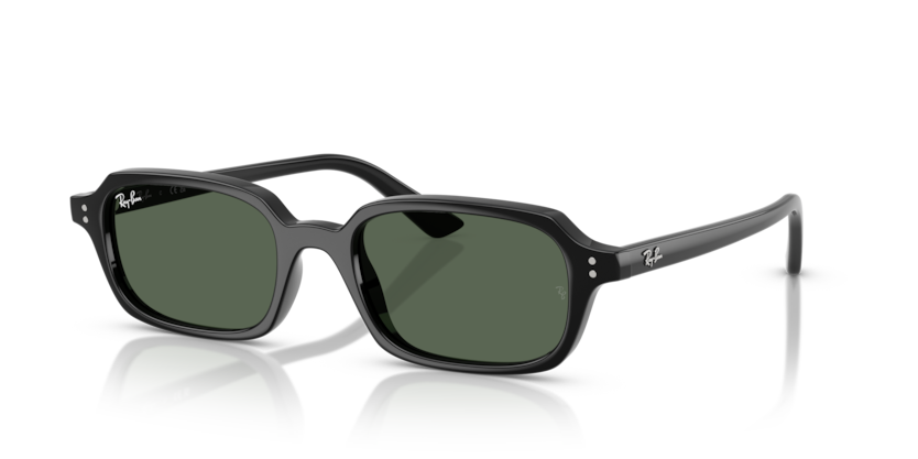 Ray-Ban ZURI RB4455 667771