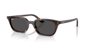 Ray-Ban ZAYA RB4456 135987