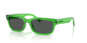Arnette DEFYER AN4363 301487