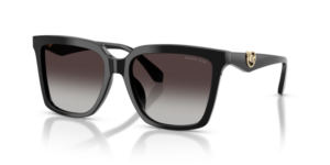 Michael Kors MENAGGIO MK2256U 30058G