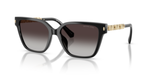 Michael Kors PIEDMONT MK2263U 30058G