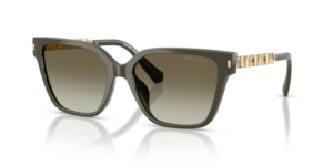 Michael Kors PIEDMONT MK2263U 39023M